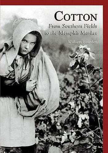 Cover image for Cotton: From Southern Fields to the Memphis Market