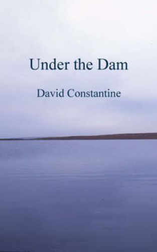 Cover image for Under the Dam: and other stories