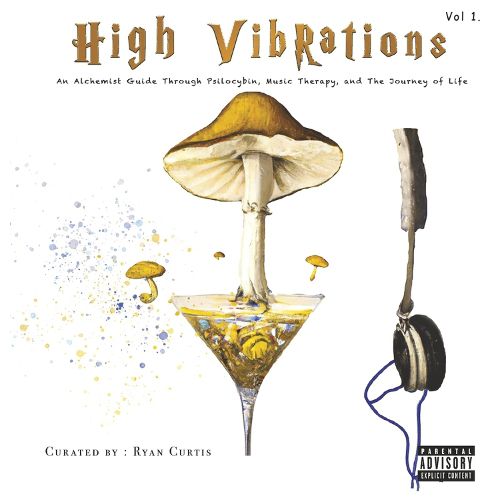 Cover image for High Vibrations