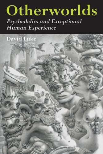 Cover image for Otherworlds: Psychedelics and Exceptional Human Experience