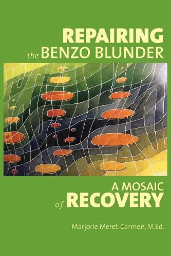 Cover image for Repairing the Benzo Blunder: A Mosaic of Recovery