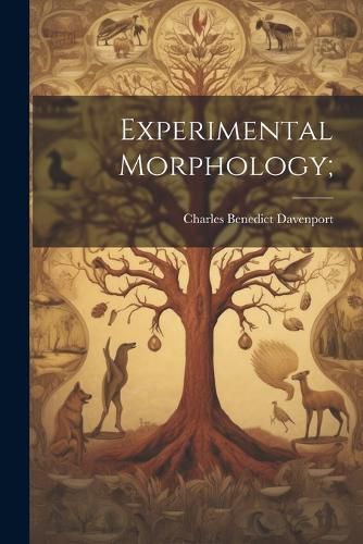 Cover image for Experimental Morphology;