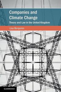 Cover image for Companies and Climate Change