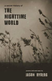 Cover image for A Secret History of the Nighttime World