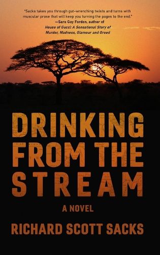 Cover image for Drinking from the Stream