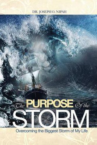 Cover image for The Purpose of the Storm: Overcoming the Biggest Storm of My Life