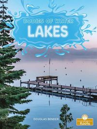 Cover image for Lakes