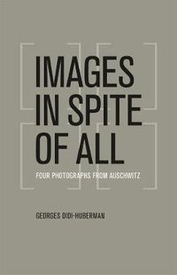 Cover image for Images in Spite of All: Four Photographs from Auschwitz