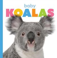 Cover image for Baby Koalas