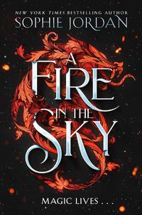 Cover image for A Fire in the Sky