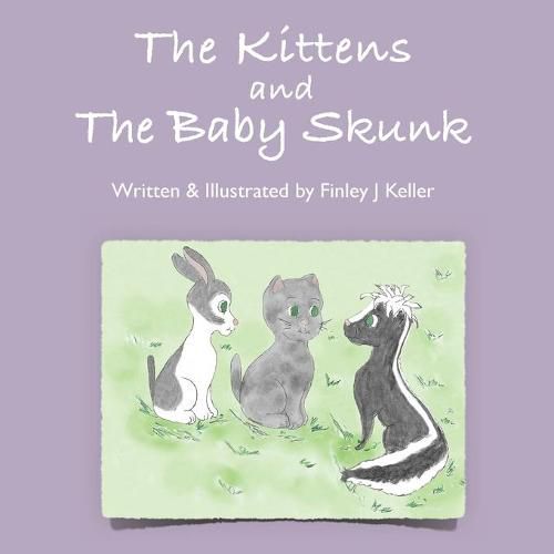 Cover image for The Kittens and The Baby Skunk