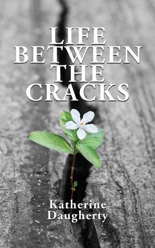 Cover image for Life Between the Cracks