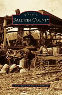 Cover image for Baldwin County