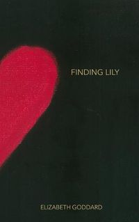 Cover image for Finding Lily