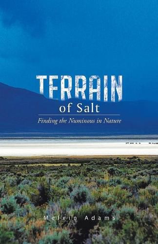 Cover image for Terrain of Salt