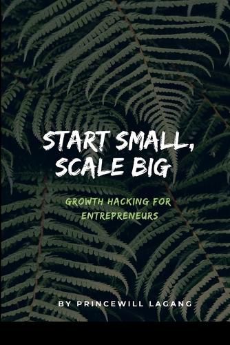 Cover image for Start Small, Scale Big