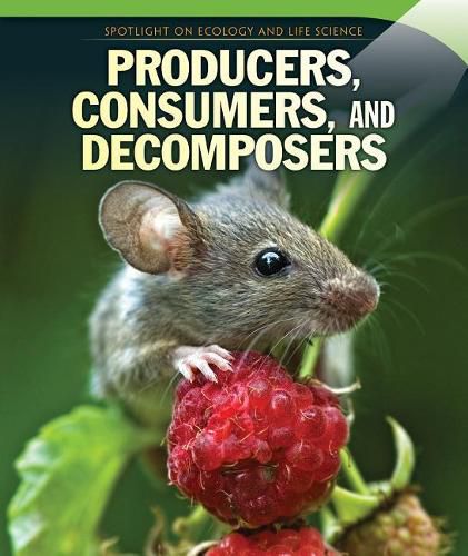 Cover image for Producers, Consumers, and Decomposers