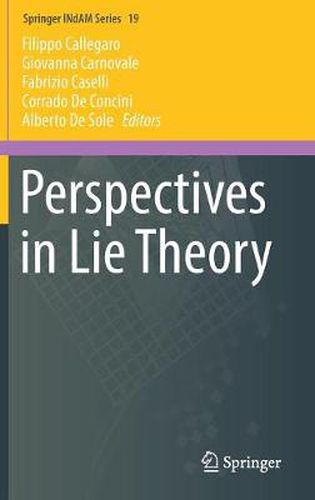 Cover image for Perspectives in Lie Theory