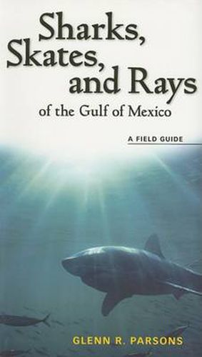 Cover image for Sharks, Skates, and Rays of the Gulf of Mexico: A Field Guide