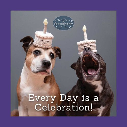 Cover image for Sookie and Ivy Every Day Is a Celebration