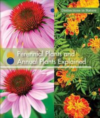 Cover image for Perennial Plants and Annual Plants Explained