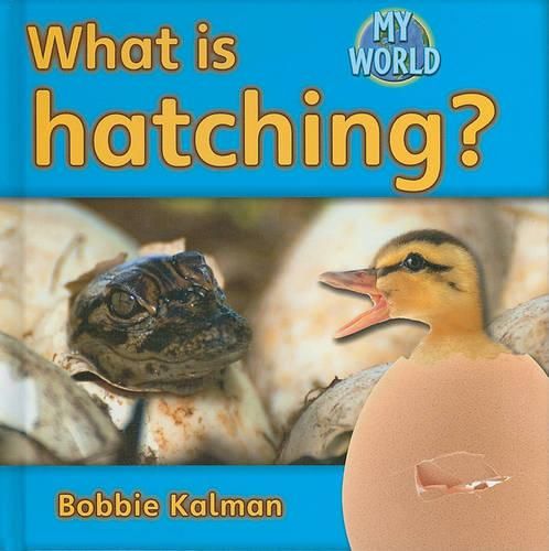 Cover image for What Is Hatching?