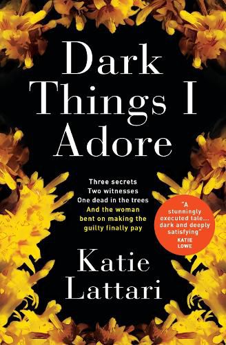 Cover image for Dark Things I Adore