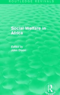 Cover image for Social Welfare in Africa