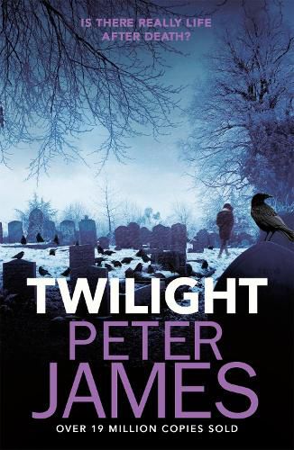 Cover image for Twilight