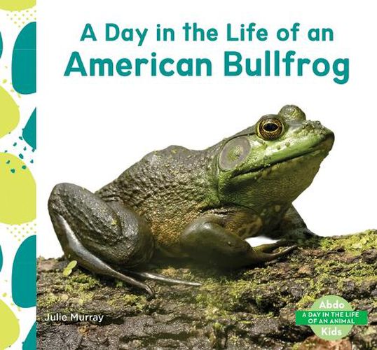 Cover image for Day in the Life of an American Bullfrog