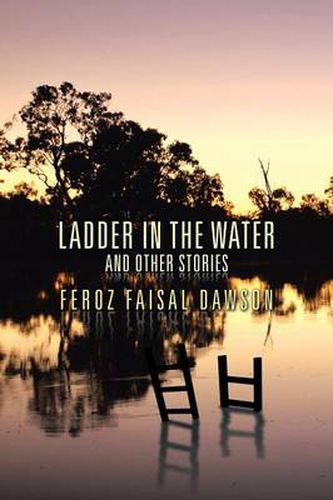 Cover image for Ladder in the Water and Other Stories