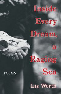 Cover image for Inside Every Dream, a Raging Sea