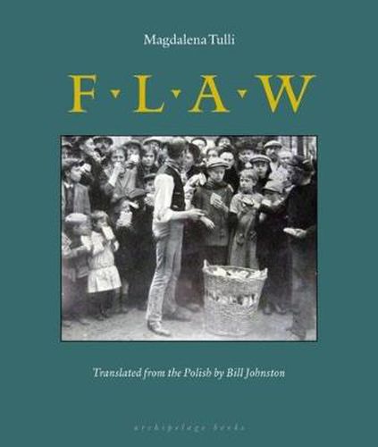 Cover image for Flaw