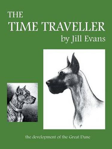 Cover image for The Time Traveller