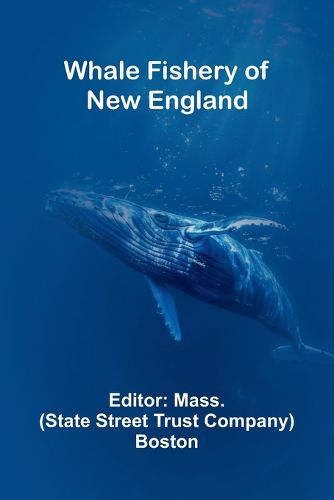 Cover image for A Project for Flying In Earnest at Last (Edition1)