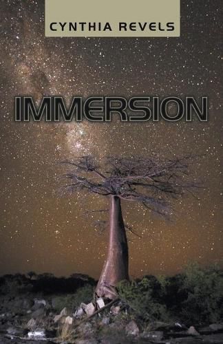 Cover image for Immersion