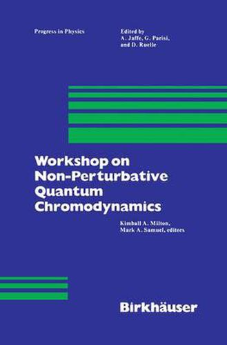 Workshop on Non-Perturbative Quantum Chromodynamics