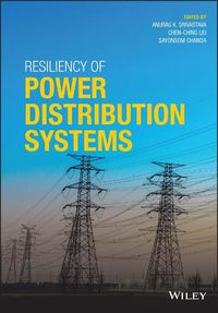 Cover image for Resiliency of Power Distribution Systems