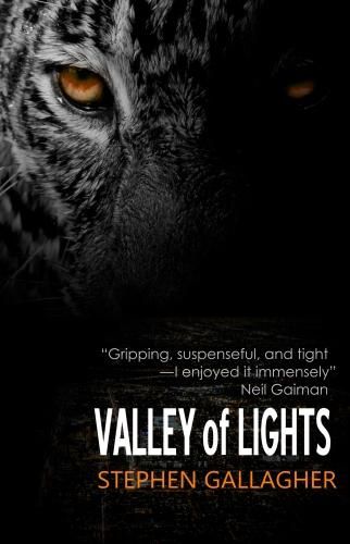 Cover image for Valley of Lights