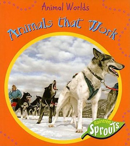 Cover image for Animals at Work