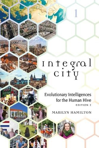 Cover image for Integral City: Evolutionary Intelligences for the Human Hive