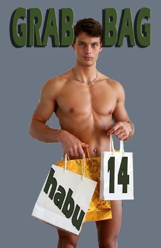 Cover image for Grab Bag 14: A Gay Erotica Anthology