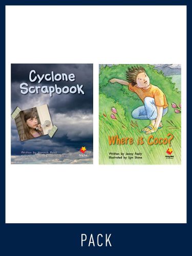 Cover image for Flying Start Guided Reading Pack Level 14, Pack 1: Paired student books (6x6) and lesson plan (1)