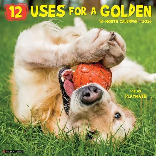 Cover image for 12 Uses for a Golden 2026 12 X 12 Wall Calendar