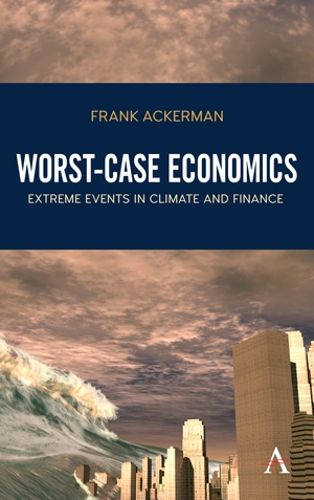 Cover image for Worst-Case Economics: Extreme Events in Climate and Finance