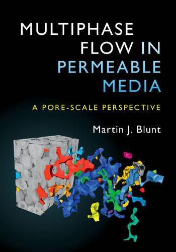 Multiphase Flow in Permeable Media: A Pore-Scale Perspective