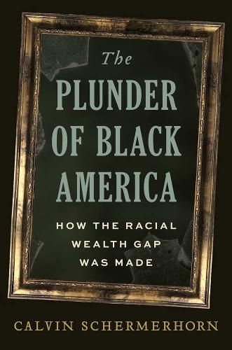 Cover image for The Plunder of Black America