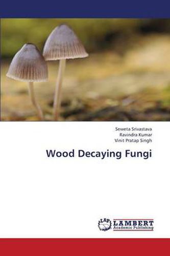 Cover image for Wood Decaying Fungi