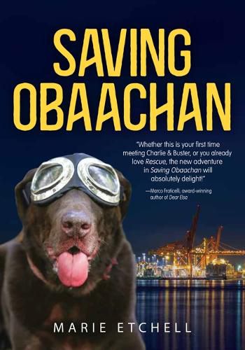 Cover image for Saving Obaachan