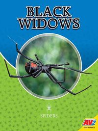 Cover image for Black Widows